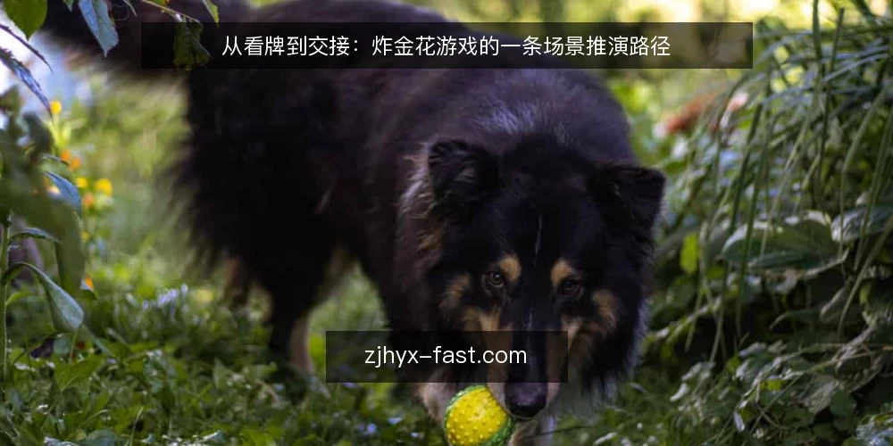 从看牌到交接:炸金花游戏的一条场景推演路径 — 场景开场:一桌人、一副牌、一个约束 配图